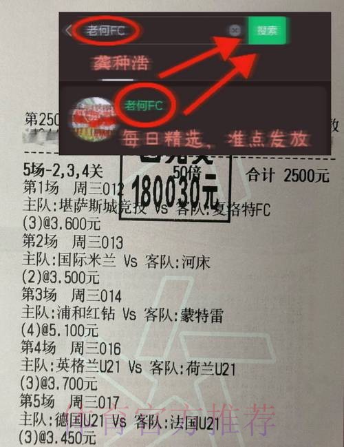 深入解析世界杯赔率及背后的玄机